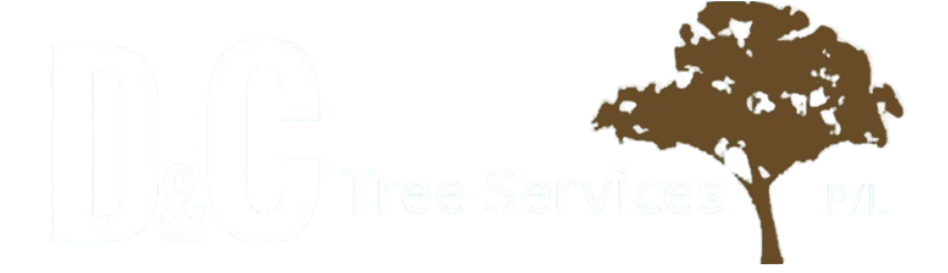 Arborist in Muswellbrook Arborist in Muswellbrook