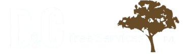 Arborist in Muswellbrook