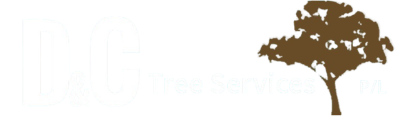 Arborist in Muswellbrook