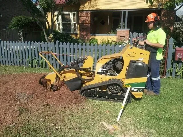 Person operating a yellow stump grinder on a residential lawn near a house and fence.