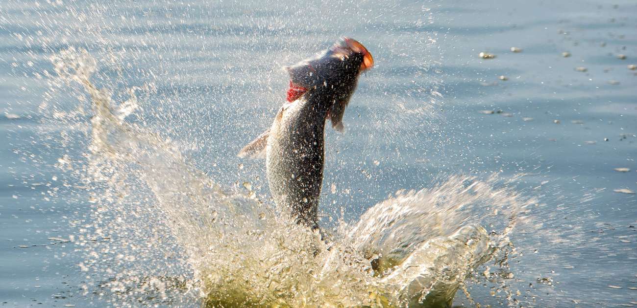 Best Katherine Fishing Spots