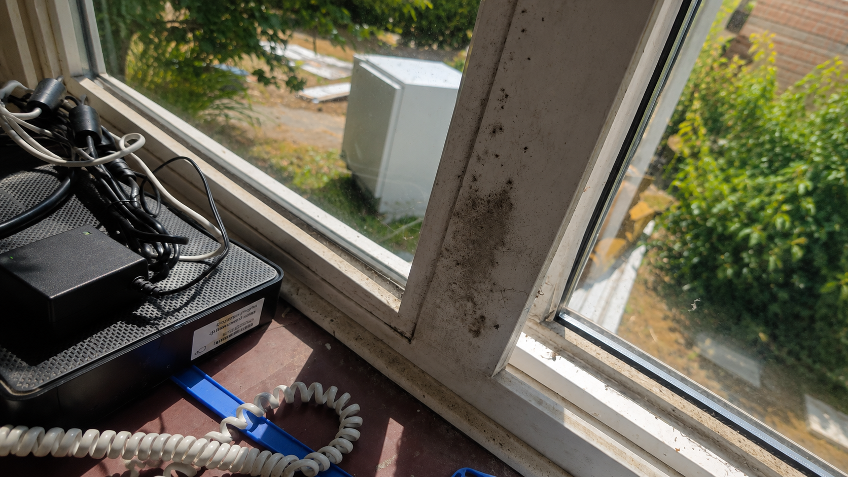 Desktop items by a sunlit window, with a white cabinet and green trees outside.