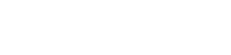 Hansefit Logo