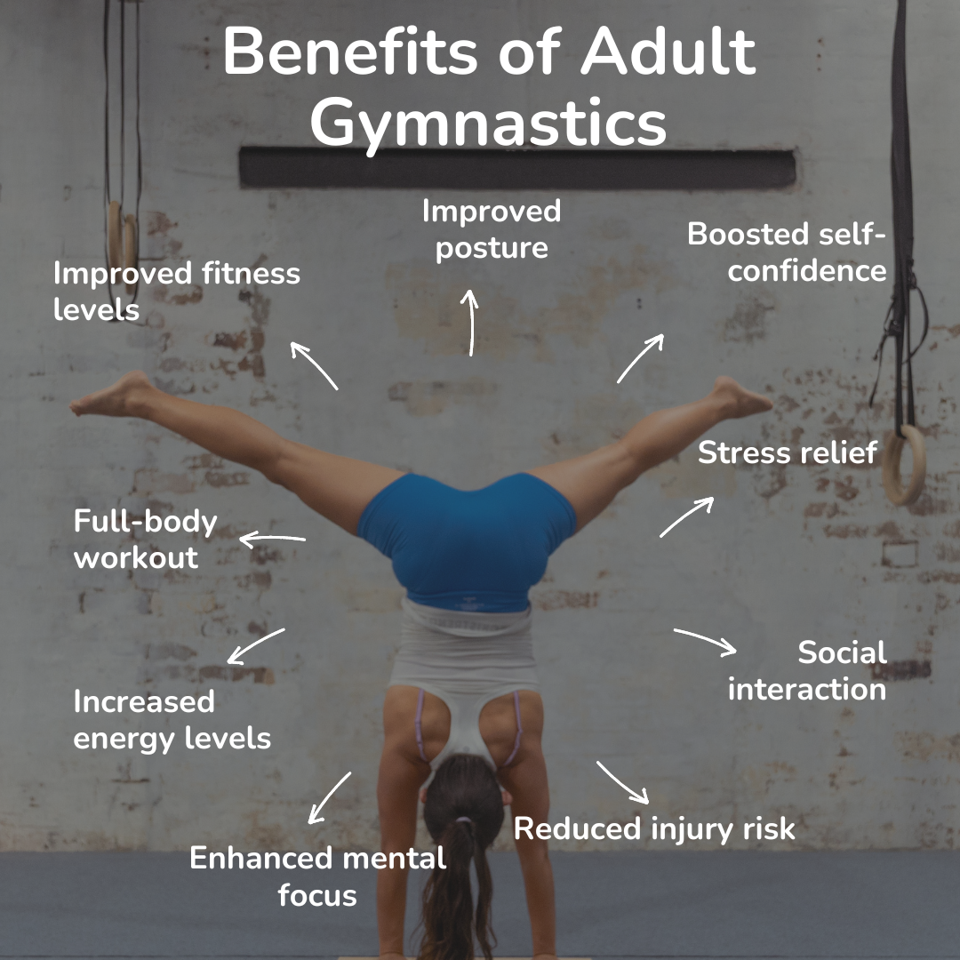 Adult Gymnastic Classes Sydney Dalecki Strength