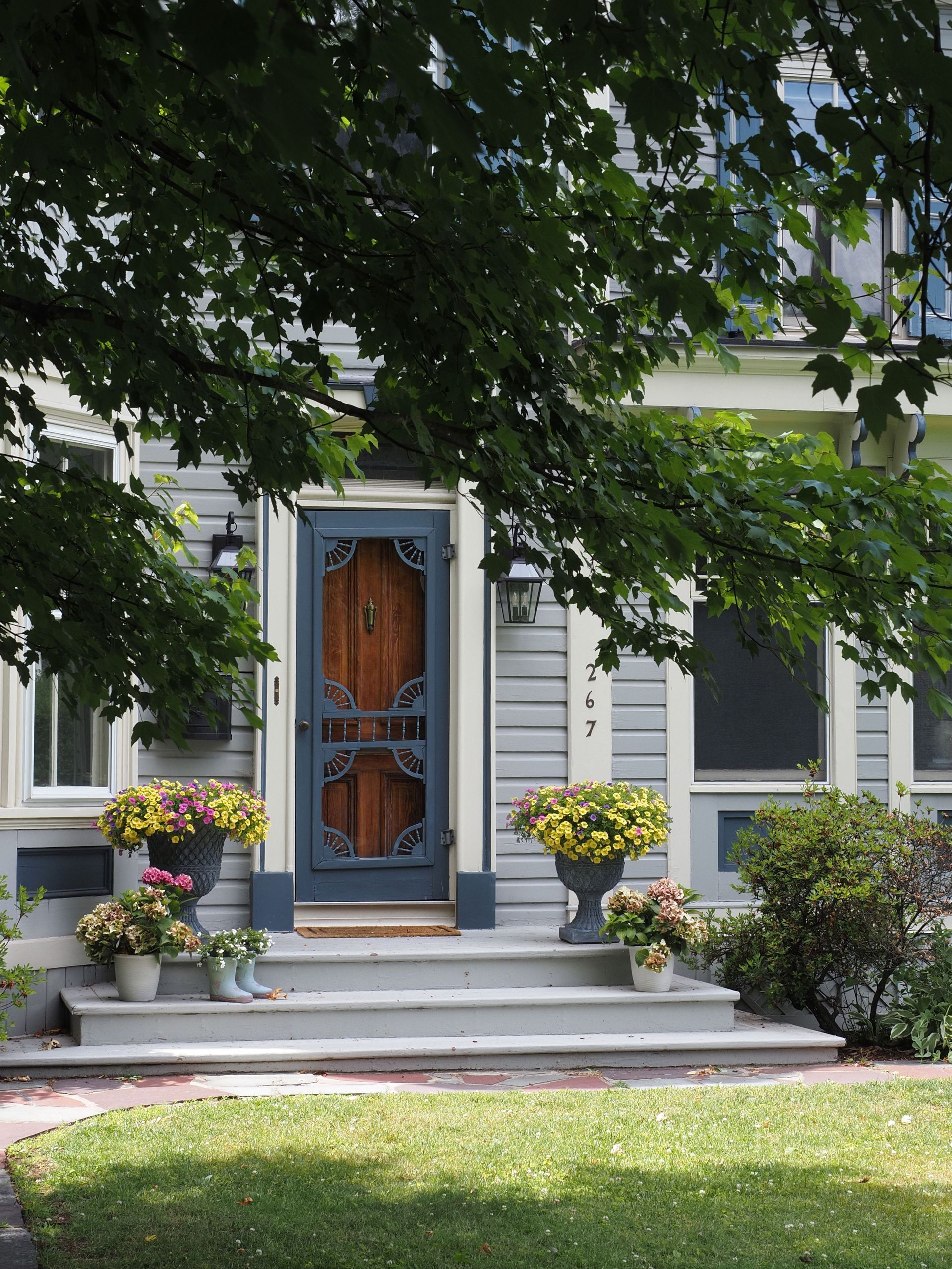 Front porch of a gray house with blue door, potted flowers, and steps shaded by trees
