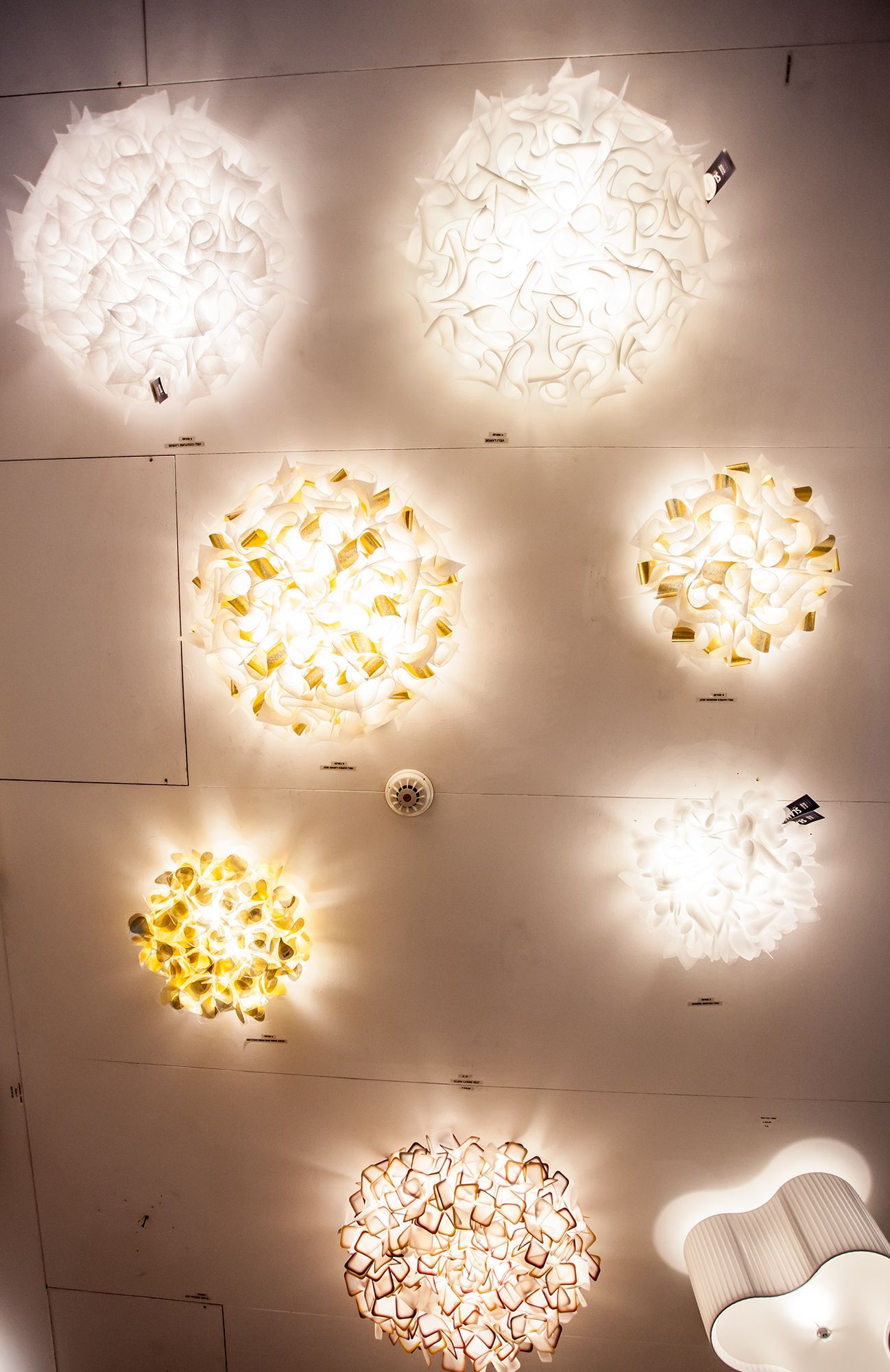 lampadari e lampade
