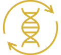 Quality Genetics Cattle