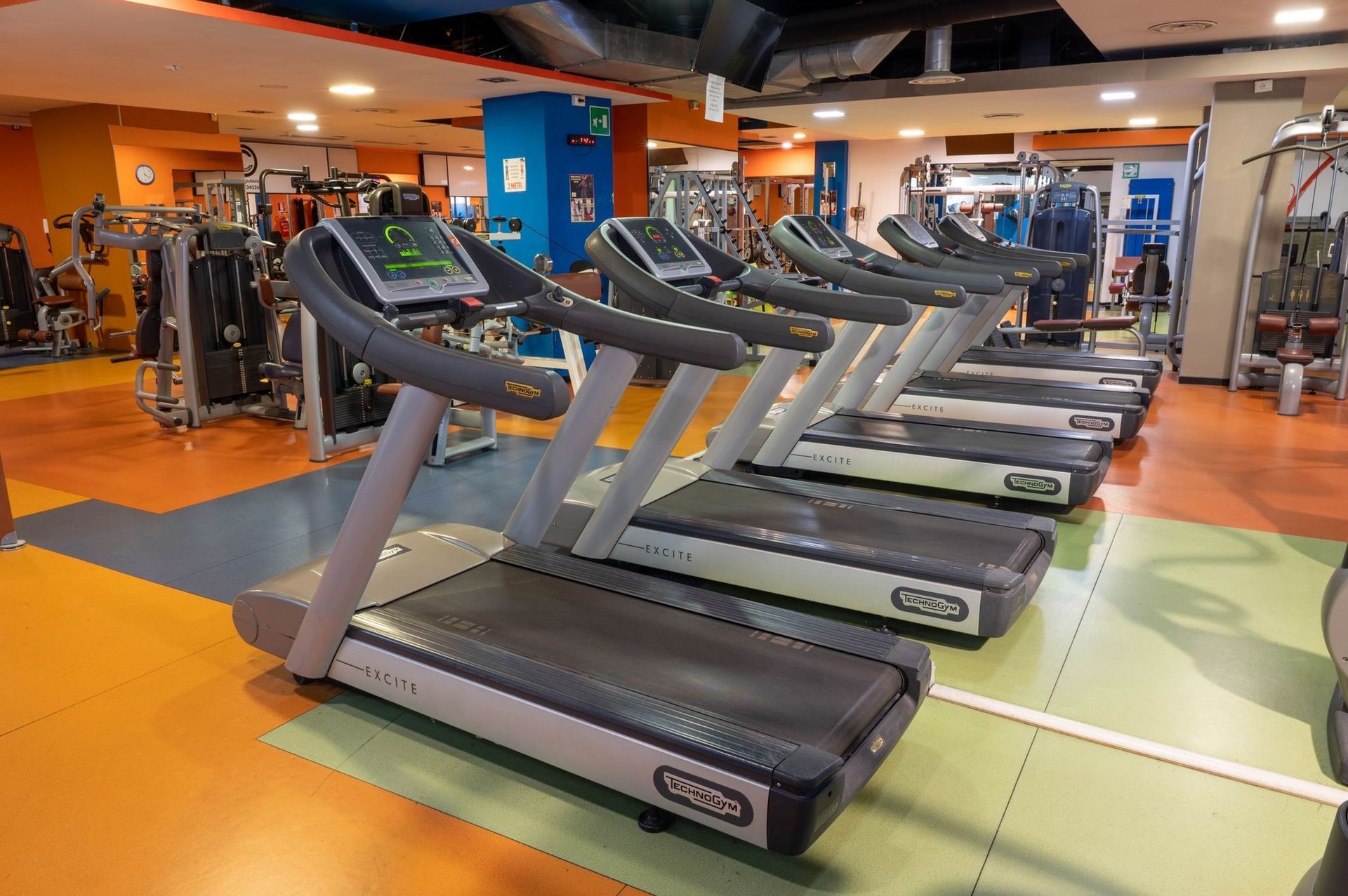Una fila di tapis roulant in una palestra ben illuminata con pavimento arancione e grigio.