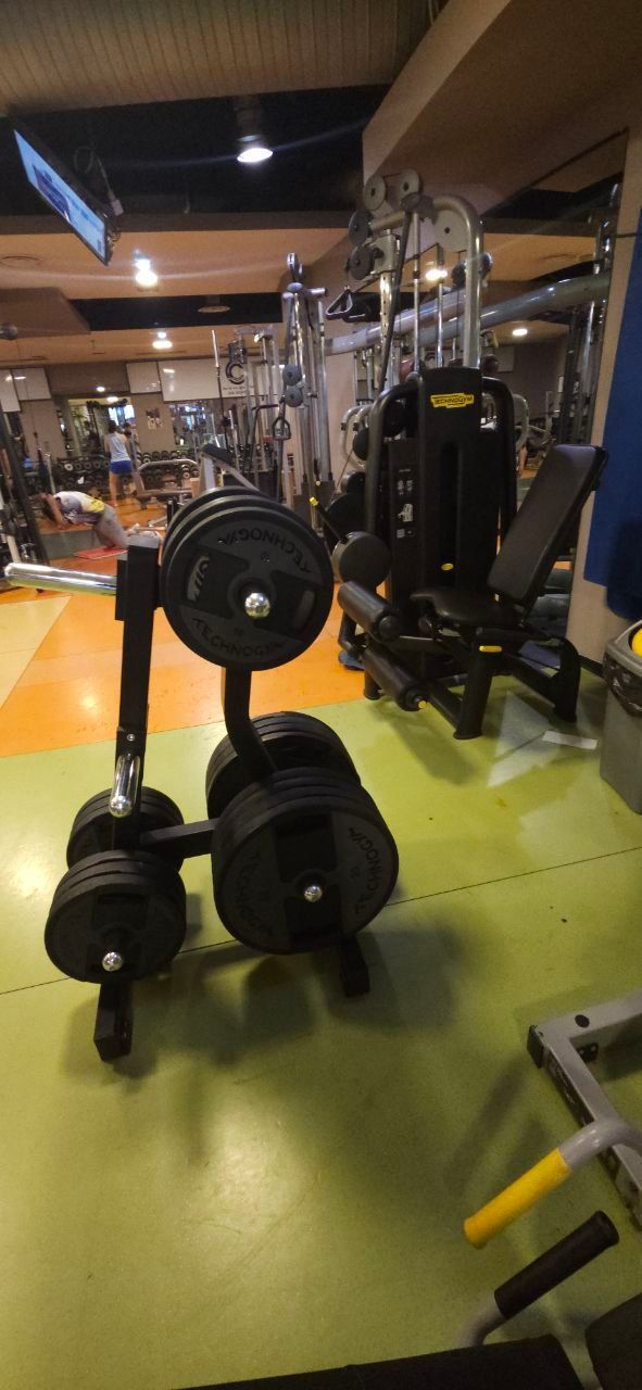 Palestra con bilancieri e dischi su un pavimento verde brillante.