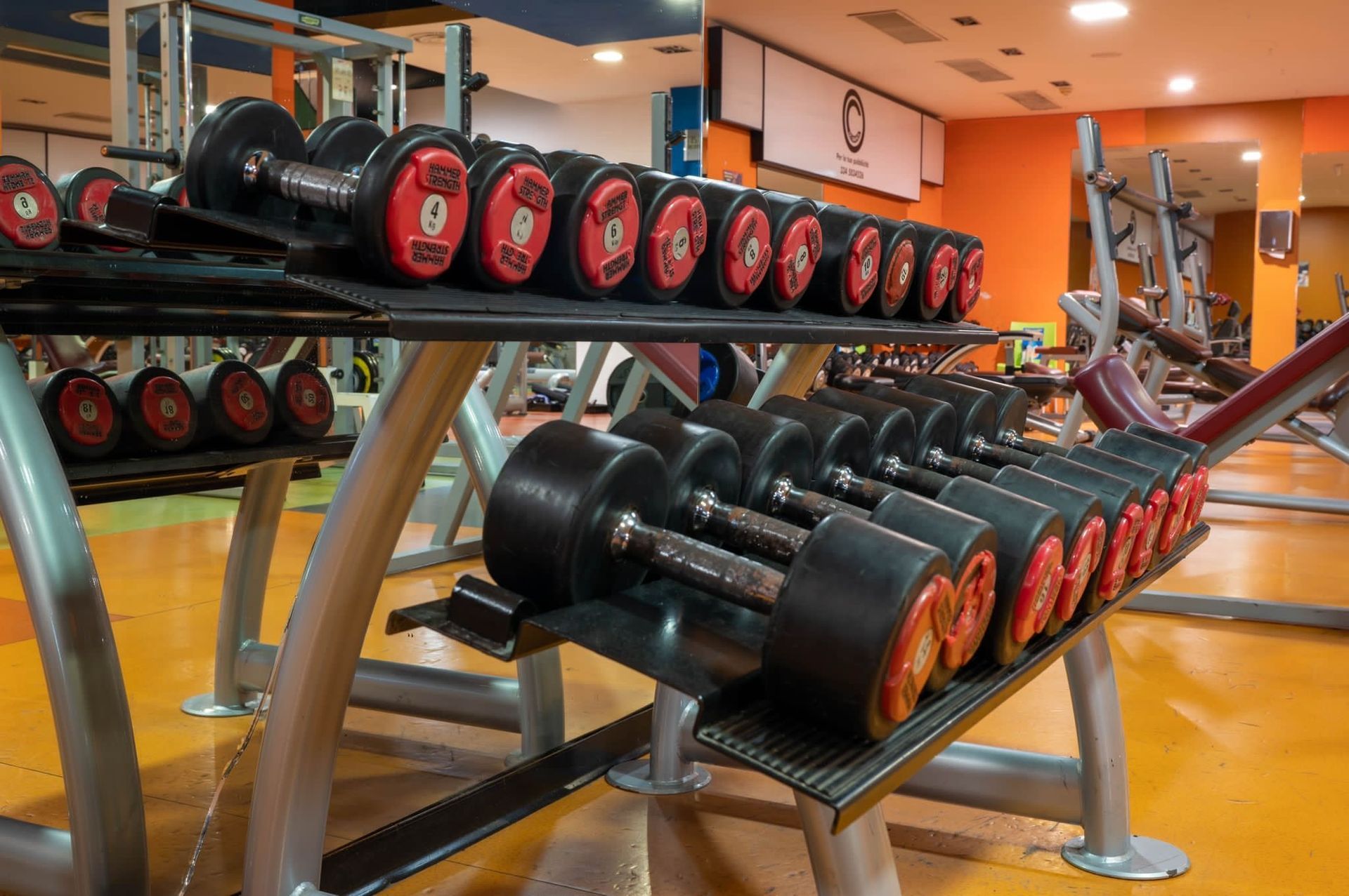 File di manubri su rastrelliere in una palestra ben illuminata con pareti arancioni.