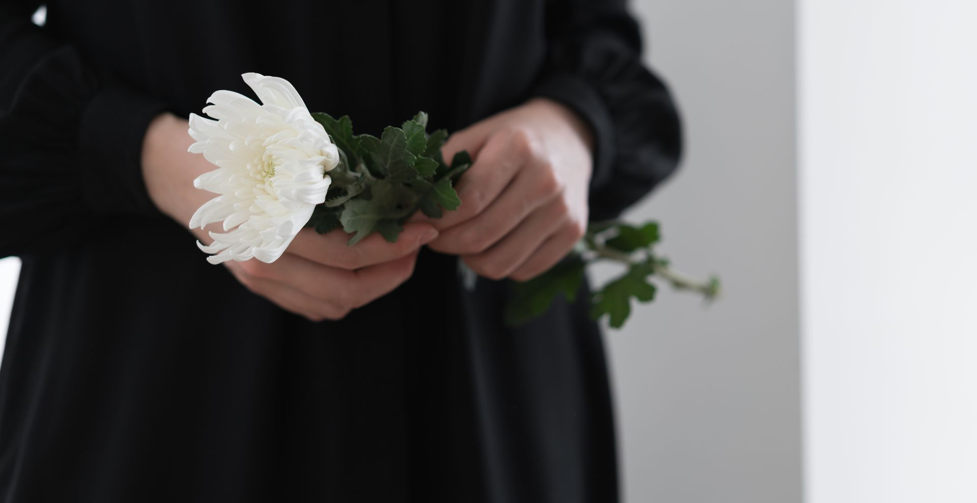 Hands holding a white flower against a dark dress, with a plain light background.