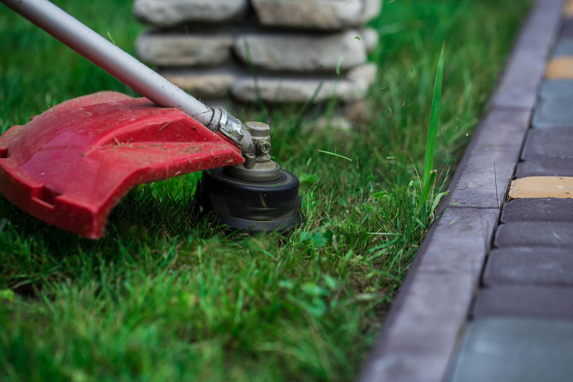 Photograph showing a close-up of a red grass trimmer cutting grass along a paved edge.