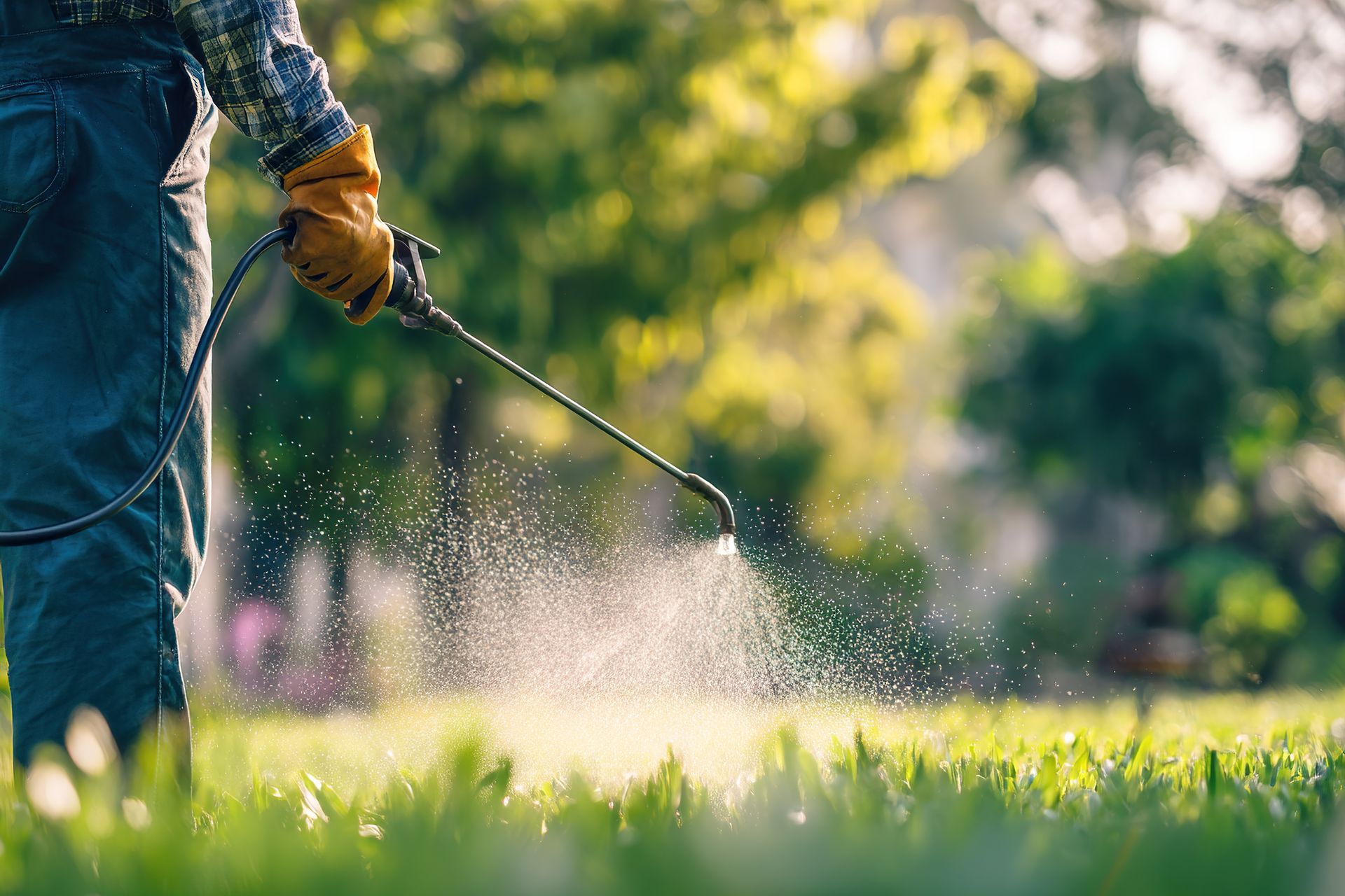 Worker spraying the grass for lawn care Worker spraying the grass for lawn care