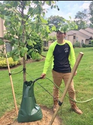 A man is standing next to a tree with a bag attached to it.