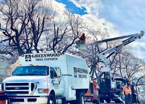 A greenwood tree experts truck is parked on the side of the road.