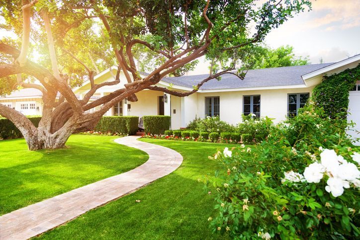Beautiful front yard with a large tree with residential tree service in Morristown, NJ, by Greenwood