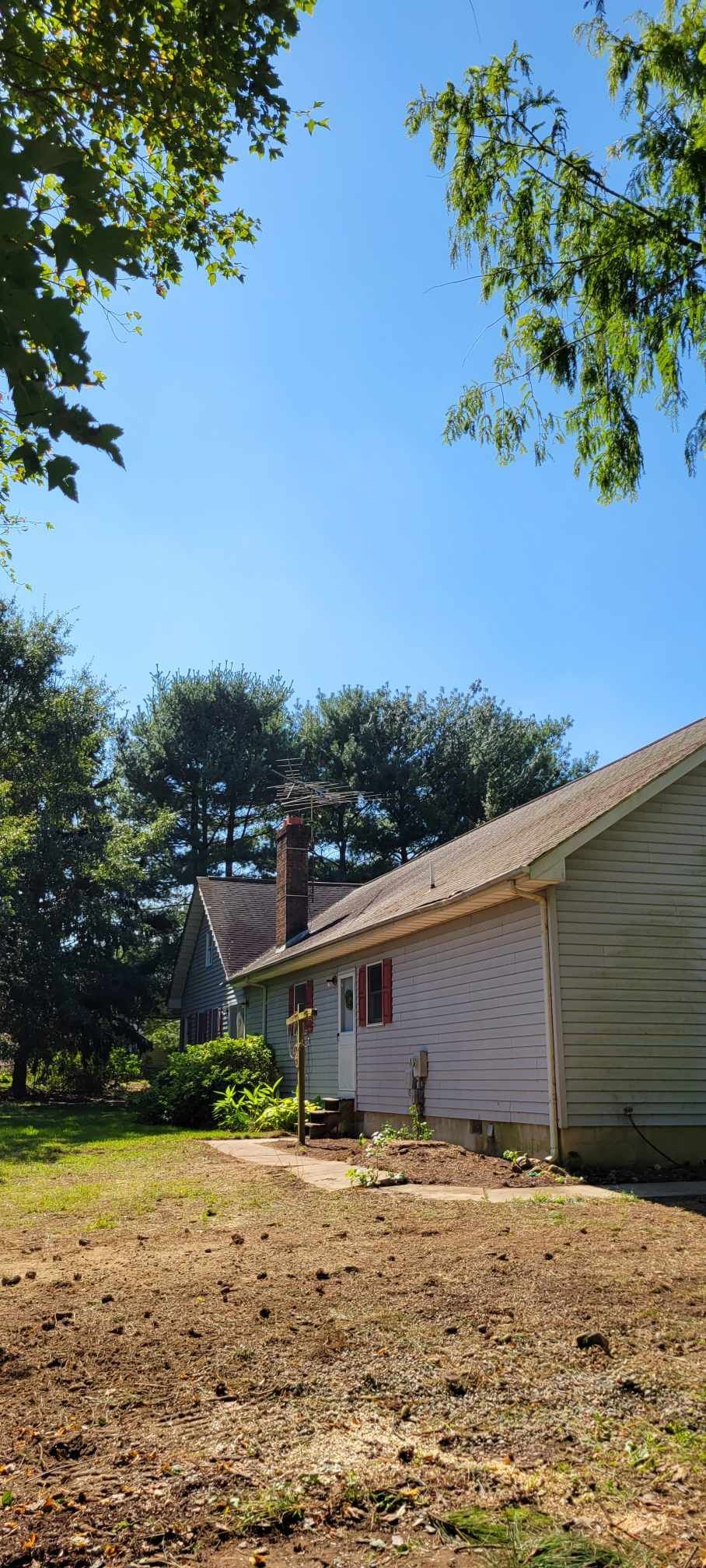 canopy tree service