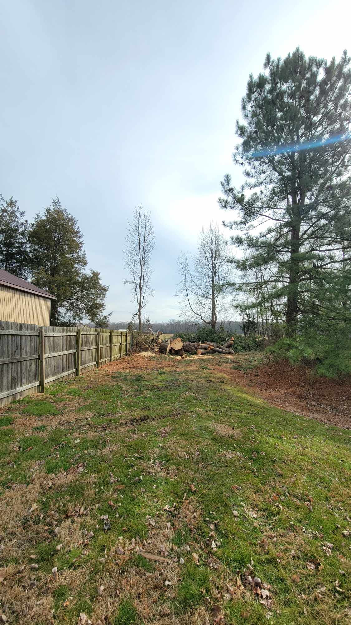 top cuts tree service