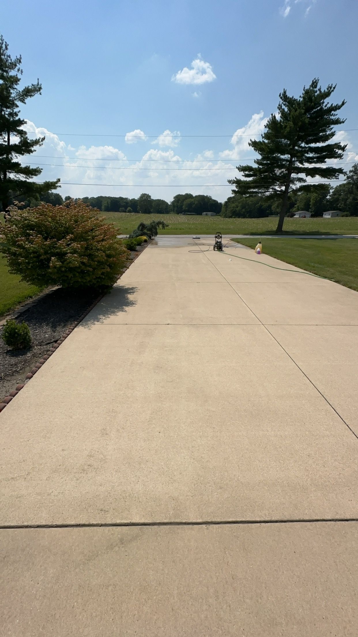 A concrete driveway leading to a field with trees on both sides.