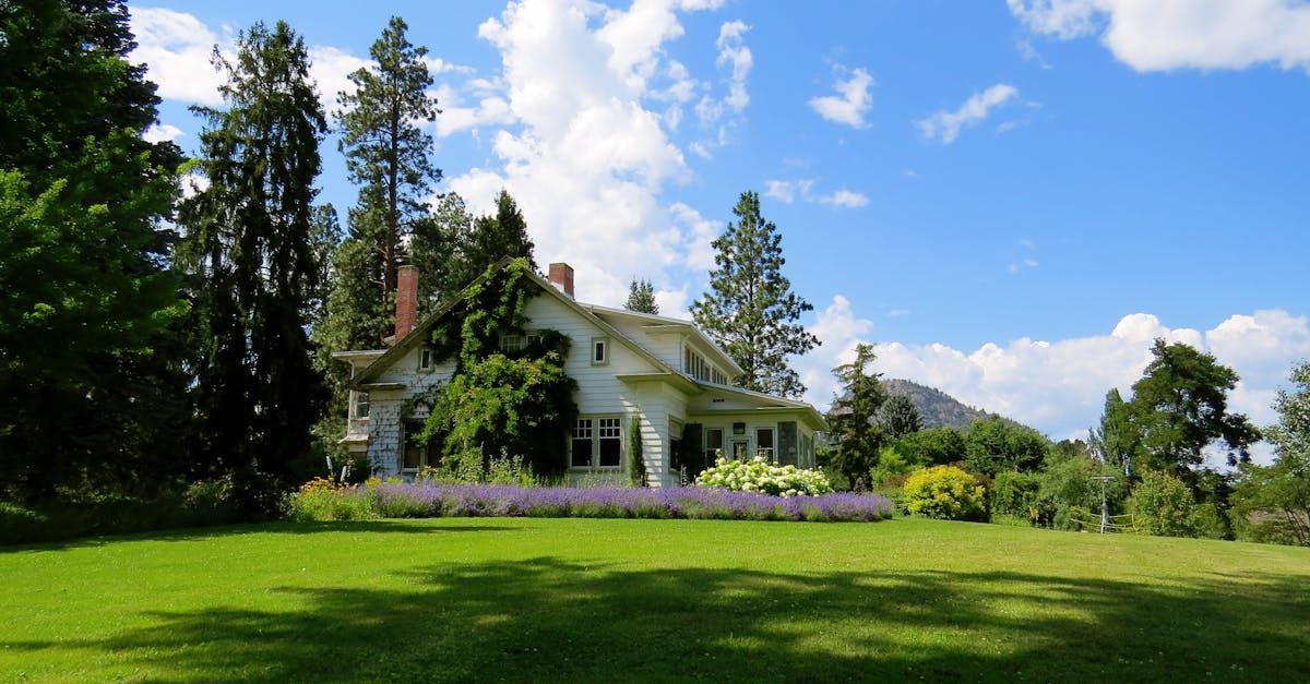 A large white house is surrounded by trees and a lush green field.