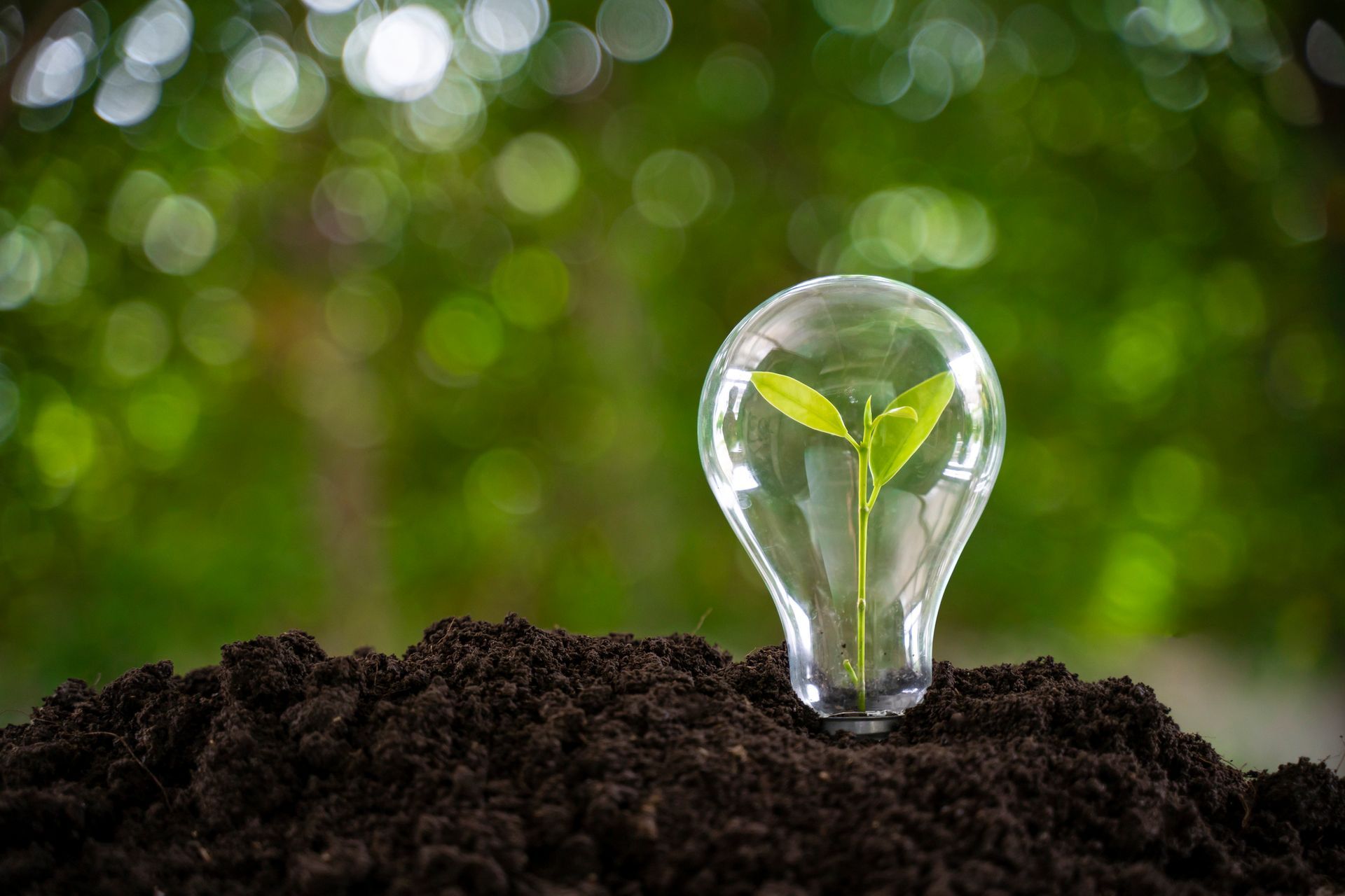Energy Efficiency Manistee MI