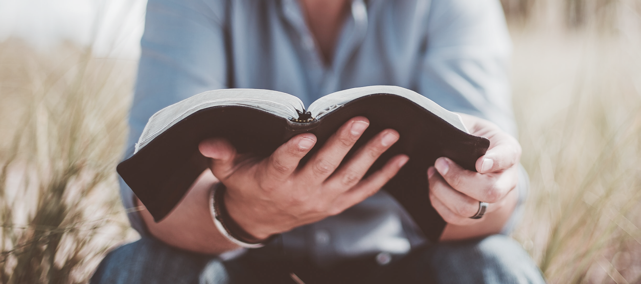 Picture of a person reading a bible in a grain field.