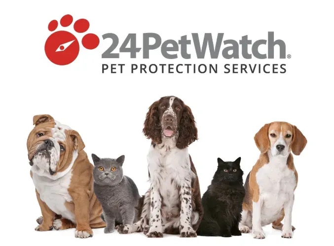 A group of dogs and cats are sitting in front of a 24 petwatch logo