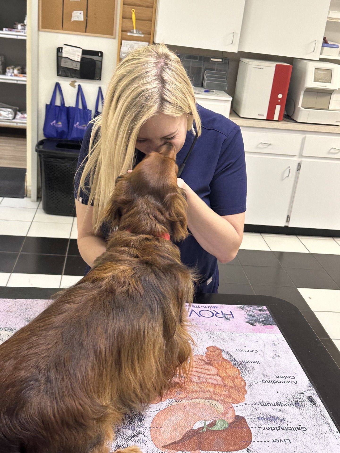 Dr Frione is petting a dog in a veterinary office.