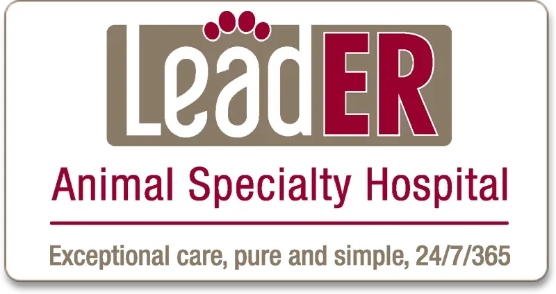 LeadER logo
