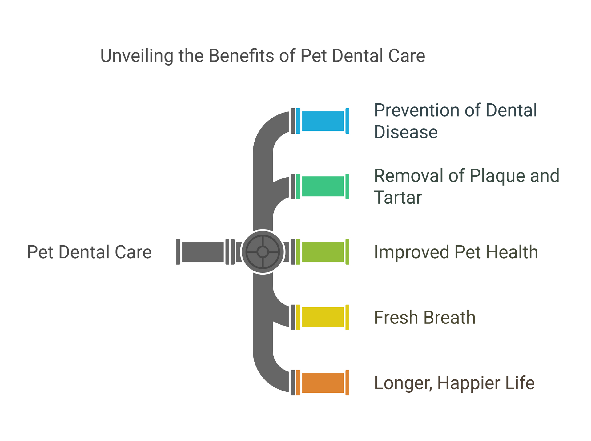 Benefits of dog dental care