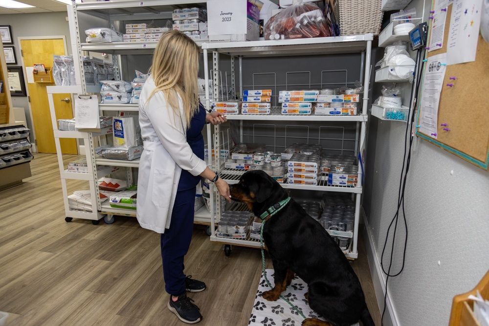 Vet for aggressive dog breeds.
