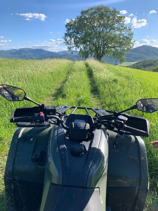 ATV on grassy trail facing a lone tree with mountains and blue sky ahead