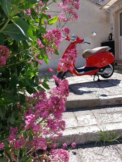 Red scooter beside pink flowers on sunlit stone steps near a beige wall