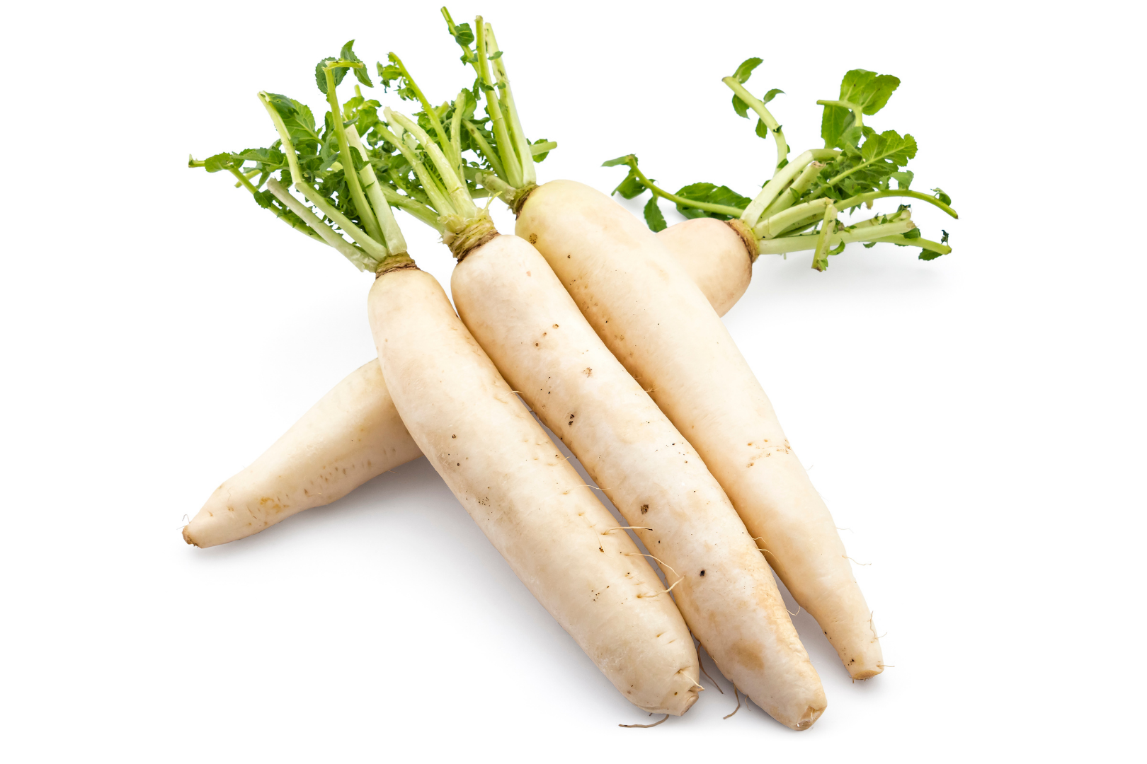Image of White Mooli supplied by Queentana Fresh