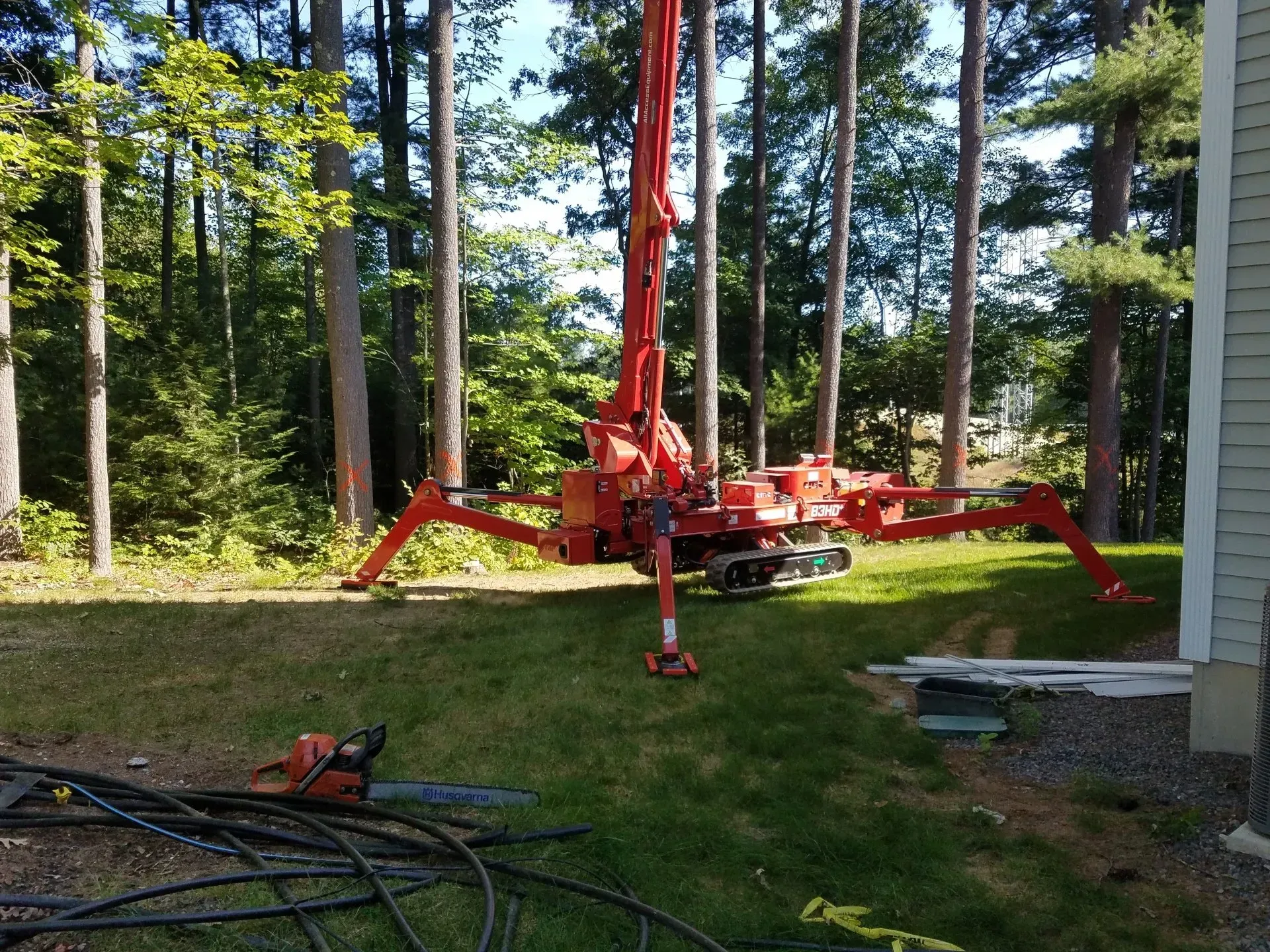 Tree Services