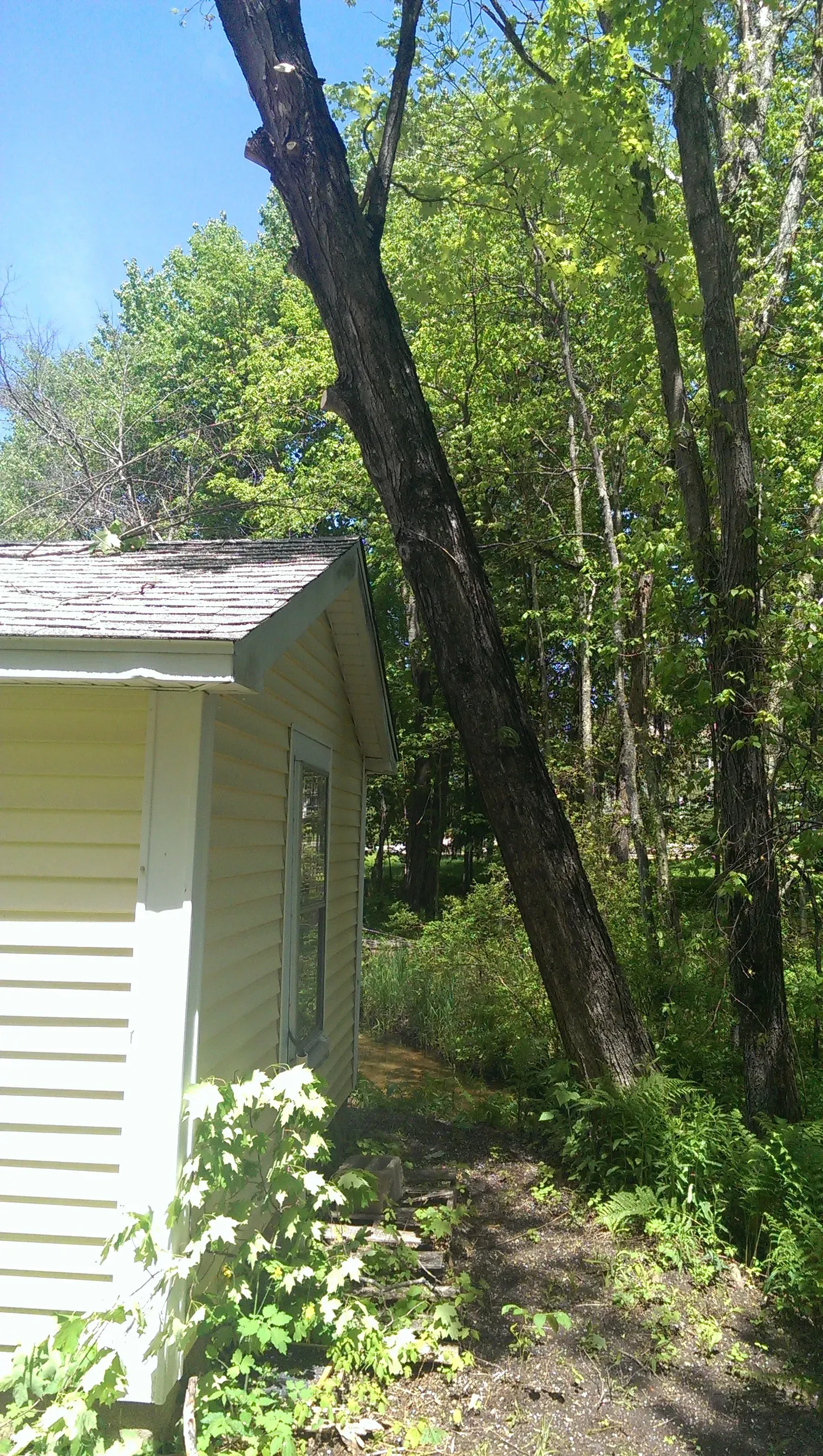 Souhegan Valley Tree Service