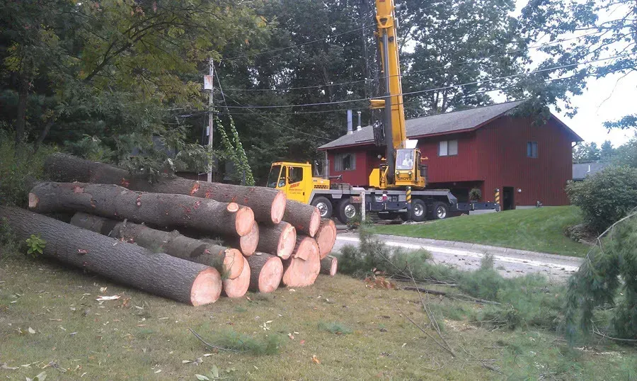 Souhegan Valley Tree Service