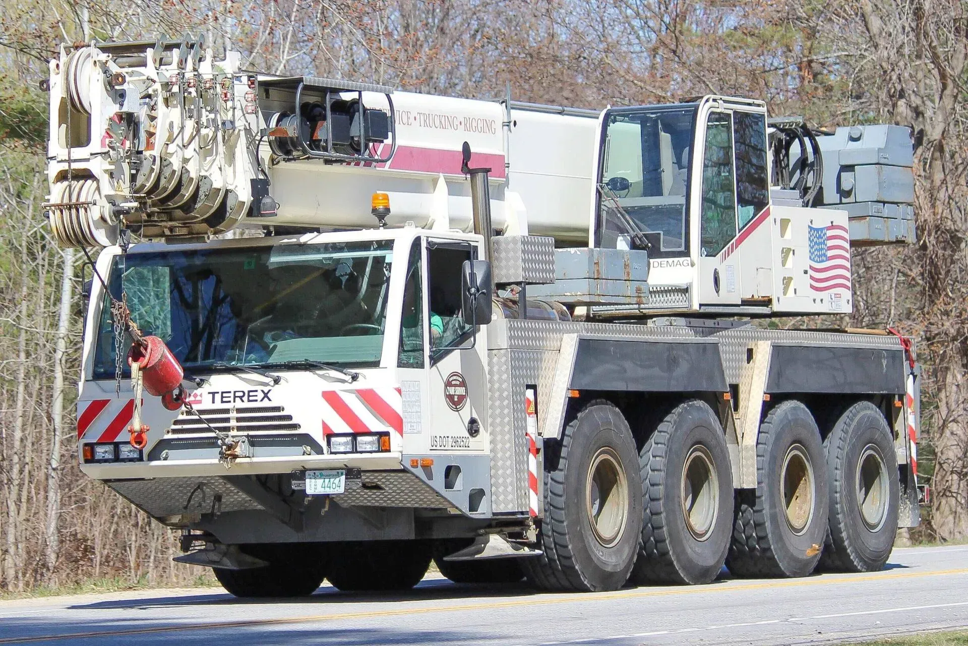 Tree Services