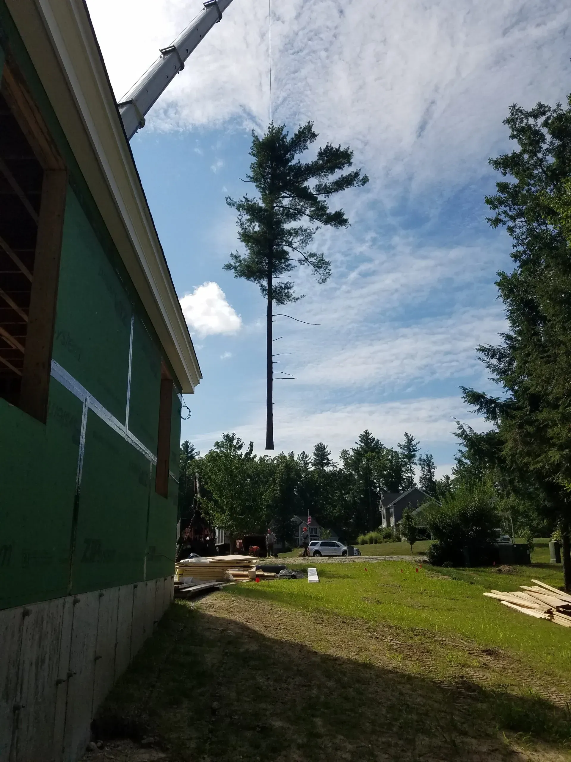 Tree Services