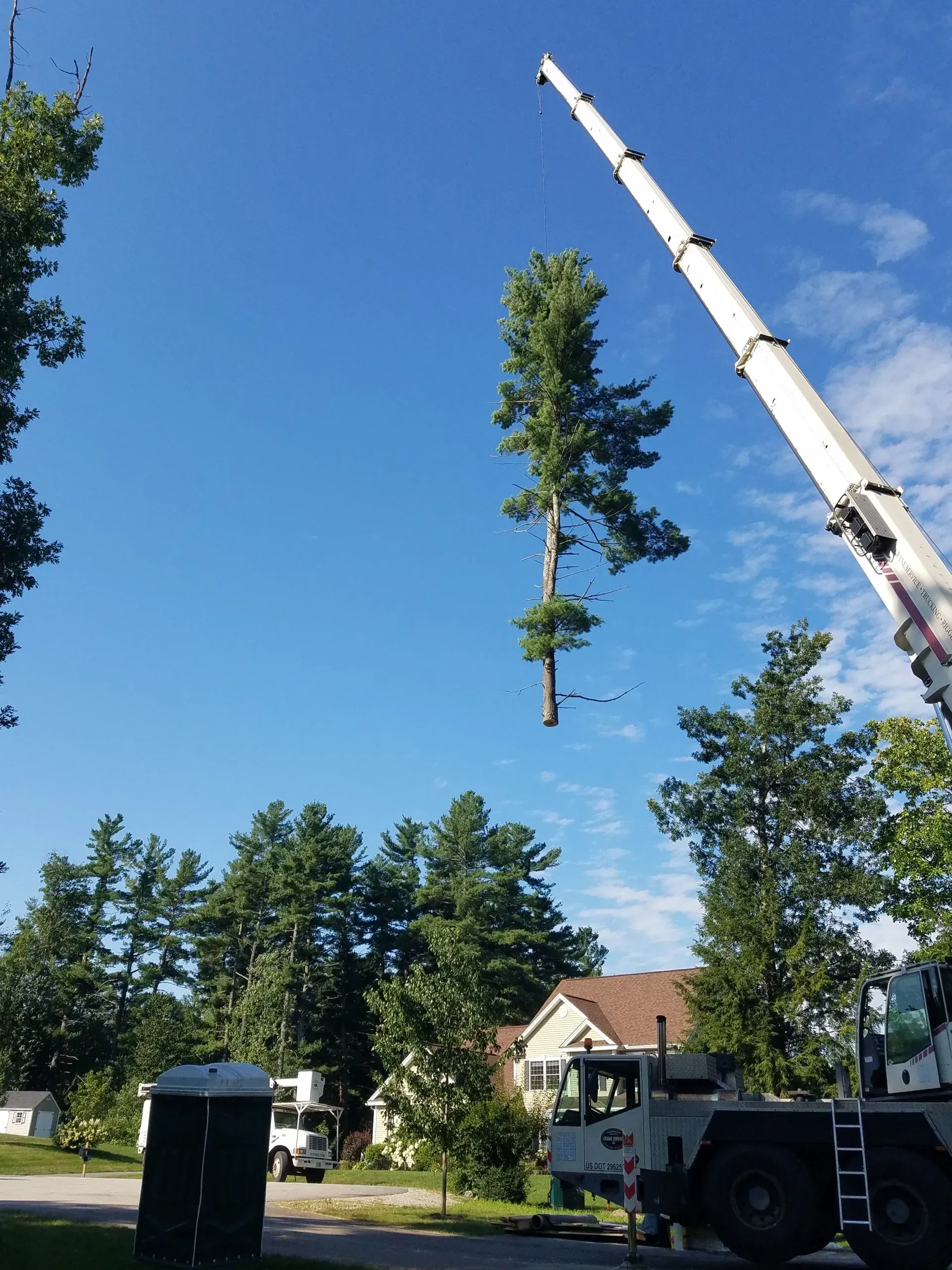 Souhegan Valley Tree Service