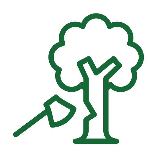 Tree removal