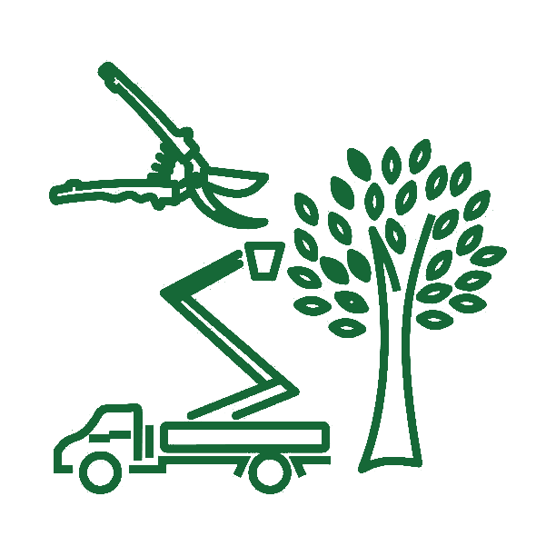 Trimming