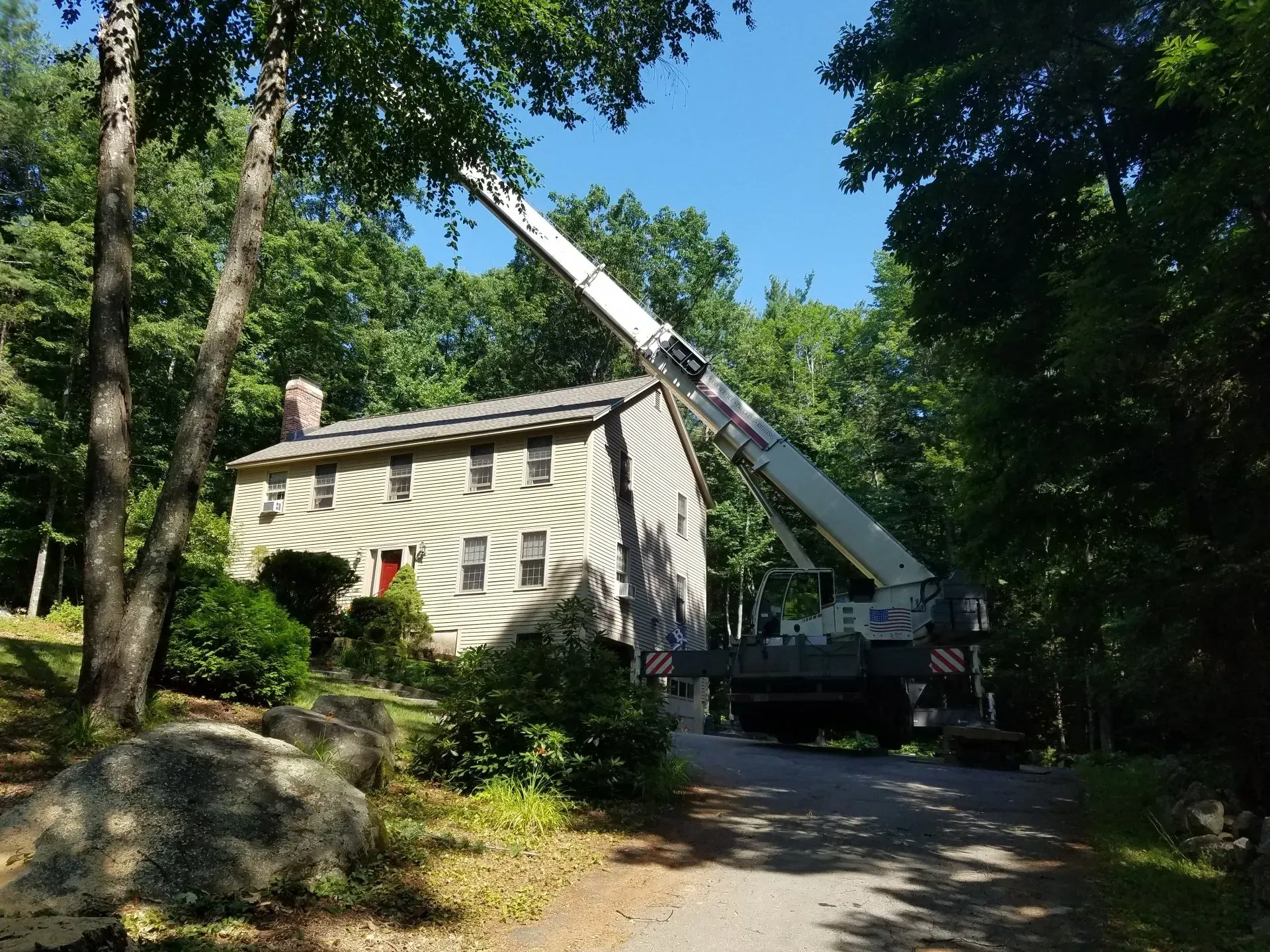 Tree Services