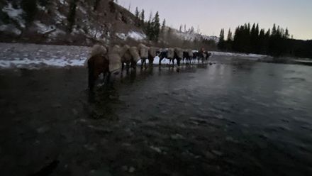 A group of people are fishing in a river.