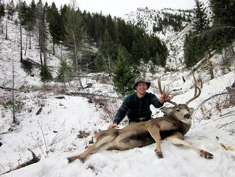 Hunting Deer