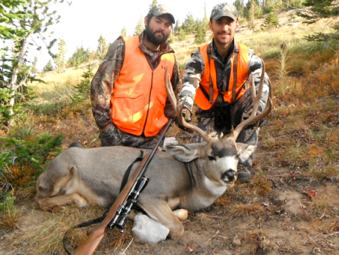 Hunting Deer