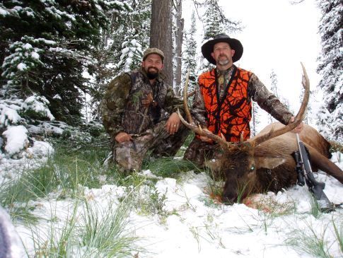 Hunting Deer