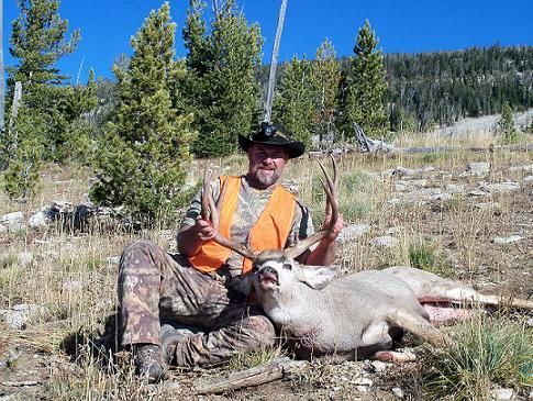 Hunting Deer