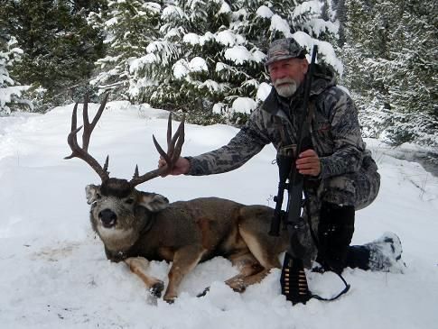 Hunting Deer