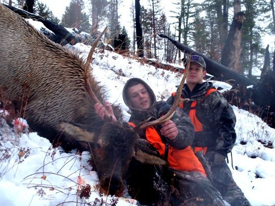 Hunting Deer